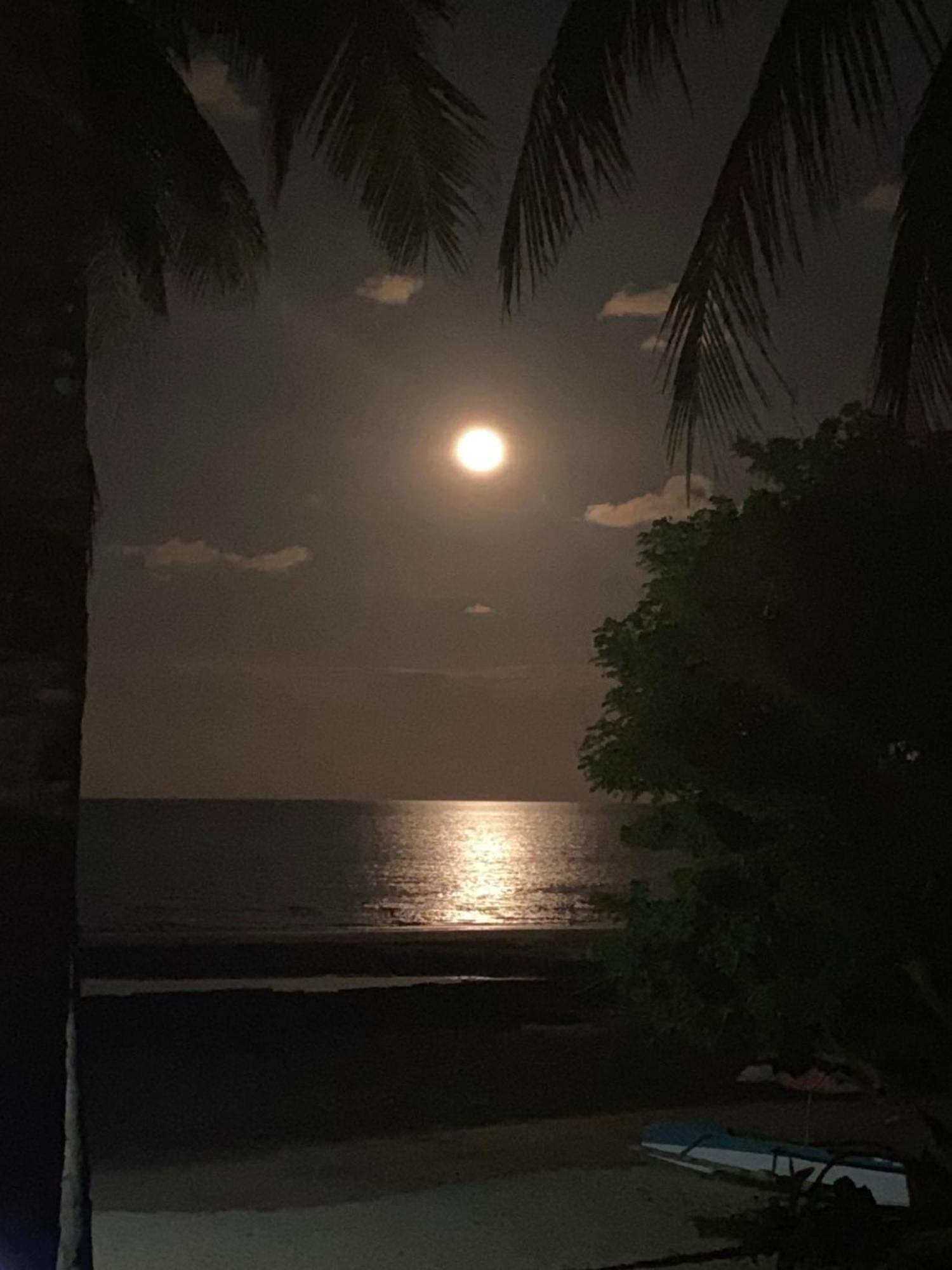 Surya Beach Resort Palawan Aborlan Εξωτερικό φωτογραφία